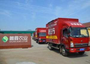 薯立方 从育苗到餐桌的高科技红薯之路